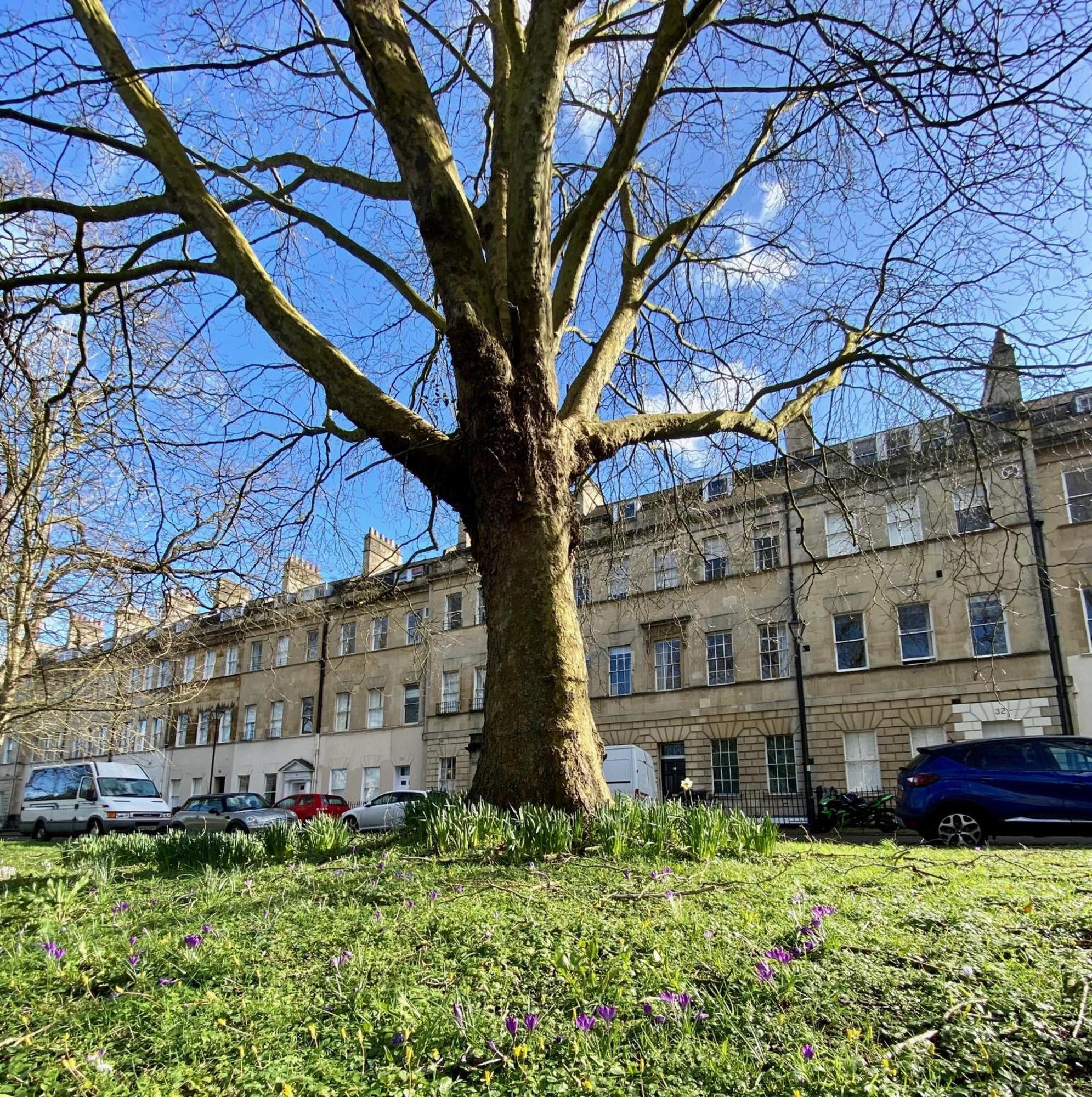 Grosvenor Apartments In Bath - Great For Families, Groups, Couples, 80 Sq M, Parking Eksteriør bilde